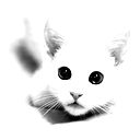 Наташа Бразговка