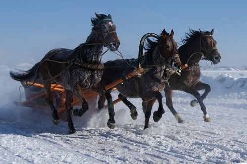 Андрей Againts