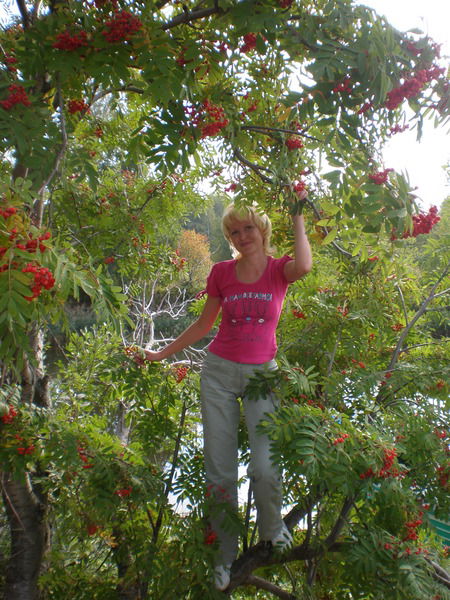 Елена Меркурьева