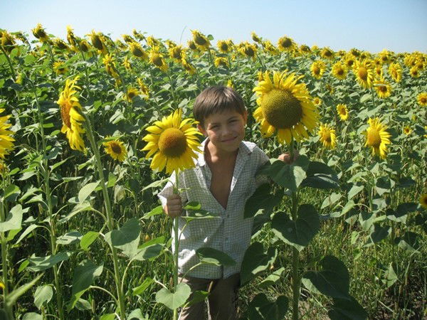 Владислав Горин