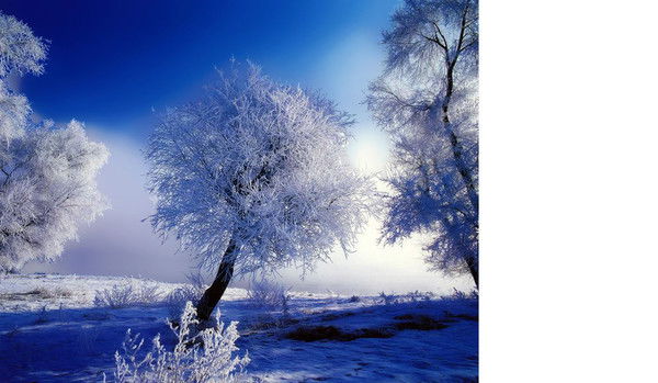 Елена Надзейко