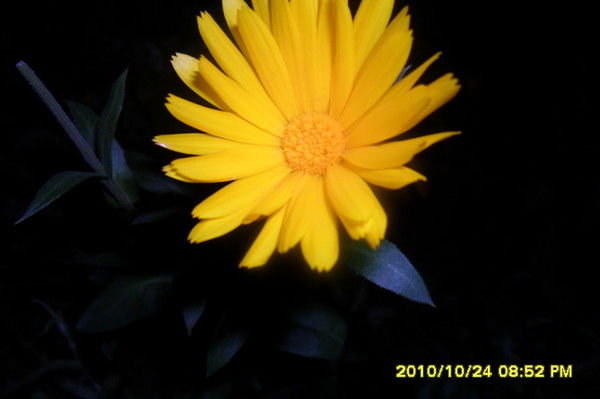 Ирина Зайцева