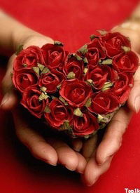 Галина Севостьянова