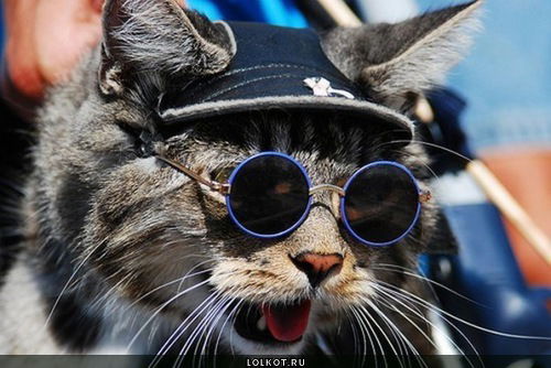 Чураков Константин