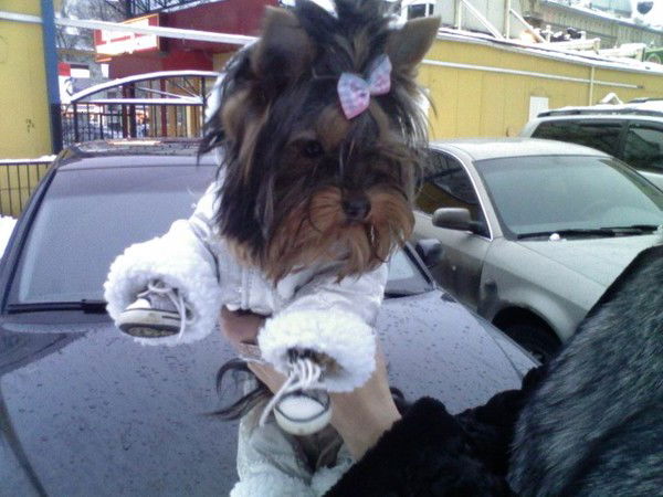 Наталья Полякова