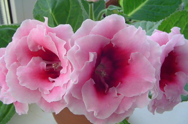 Мартынова Марина