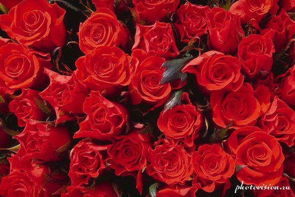 Мария Ахмятжанова