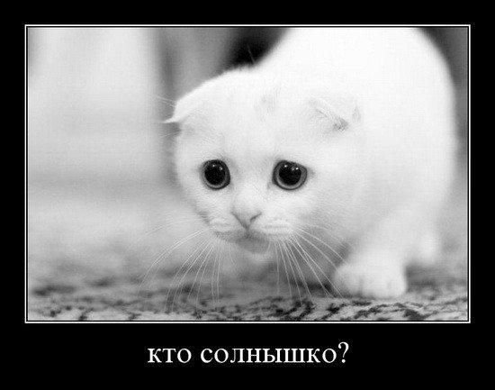 Диана Волкова