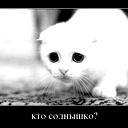 Диана Волкова