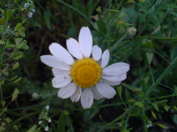 Татьяна Олейник