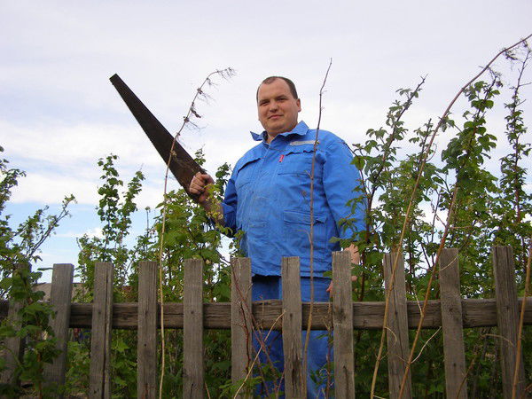 Андрей Андрей