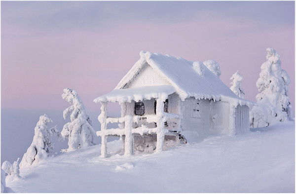 Сергей Коняшин