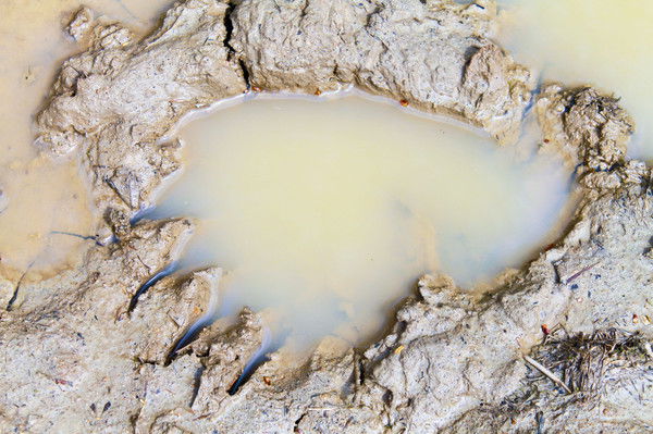 Александр Сапрыкин