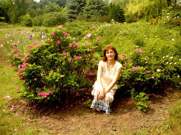 Елена Аскирка