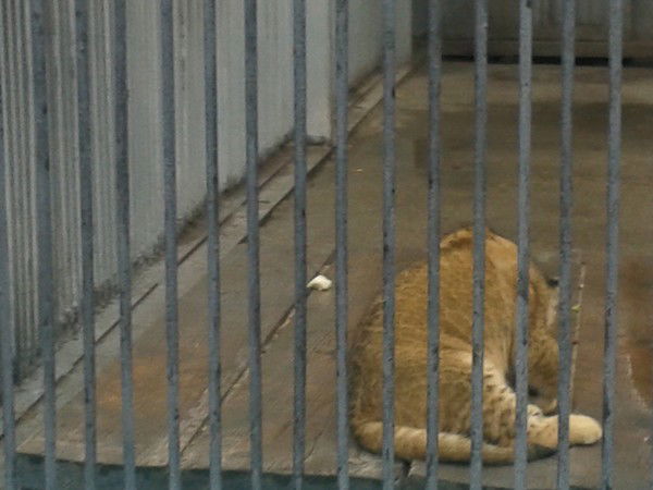 Канат Тулеубаев