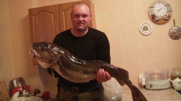 Александр Харитонов