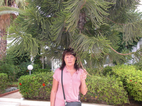 Елена Мелихова