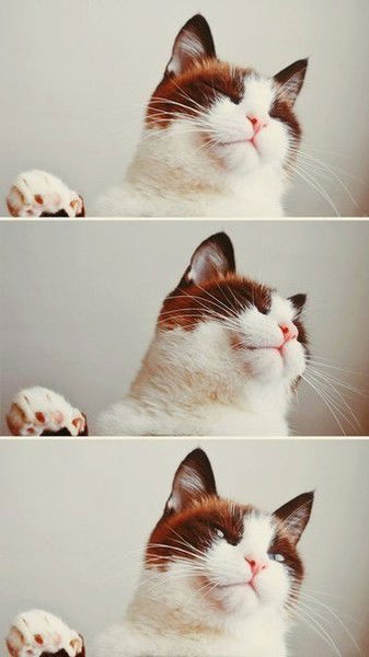 Павел Федулов