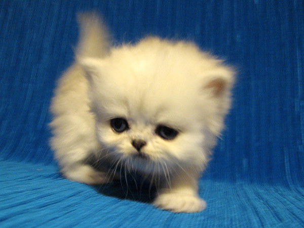 Жанна Носач