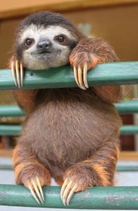 Дима Журавлёв