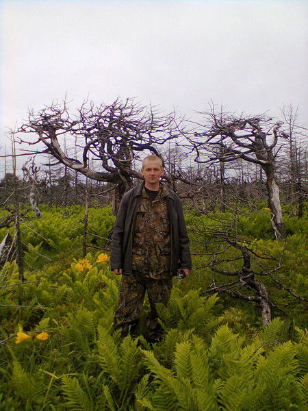 Вячеслав Унгуряну