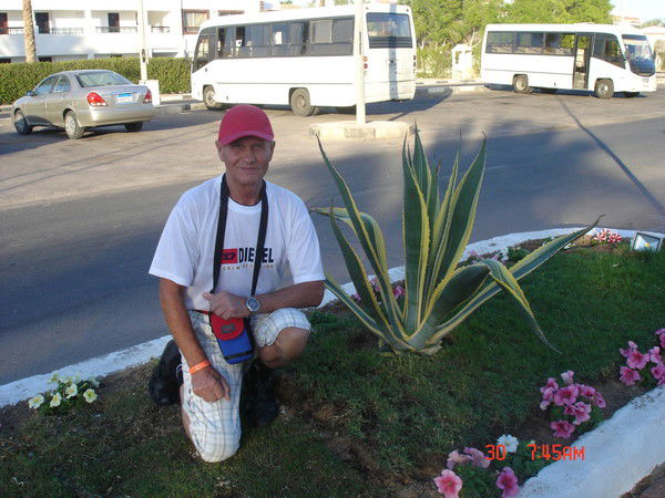 Александр Бурзяев