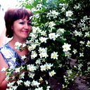 Светлана Терешина