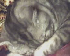 Ольга Смородина