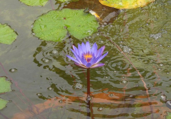 Татьяна Медведева