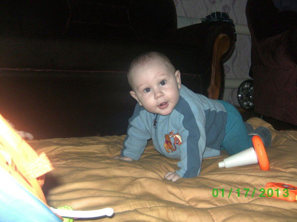 Анастасия Костина