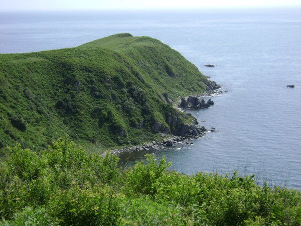 Вовчик Евстигнеев