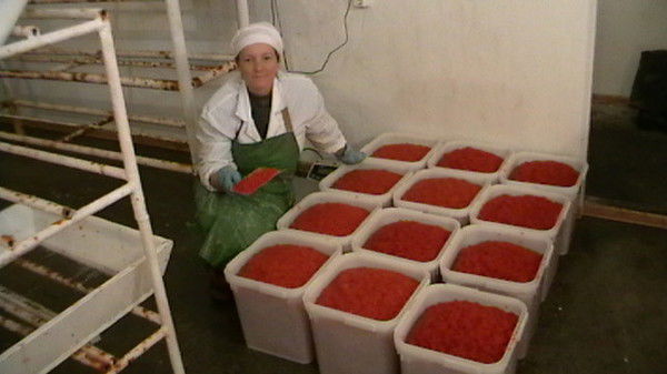 Наталья Кузнецова