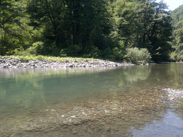 Александр Демин