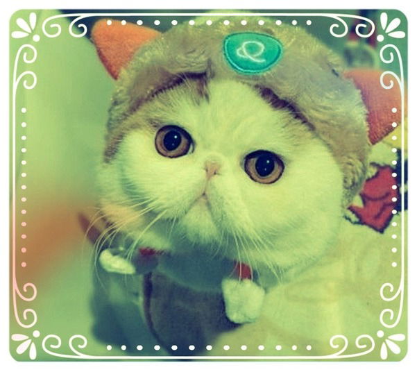 Нюта Щекочихина