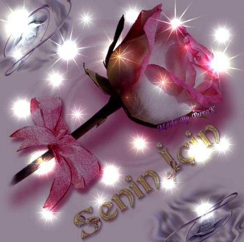 Сауле Шегебаева