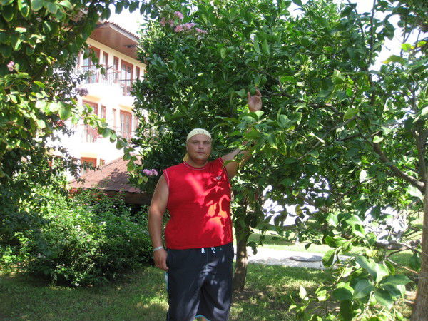 Камал Курбанов