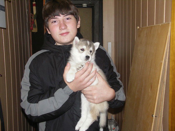 Владимир Сошенко