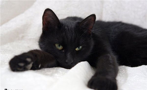 Natalia Чернышева