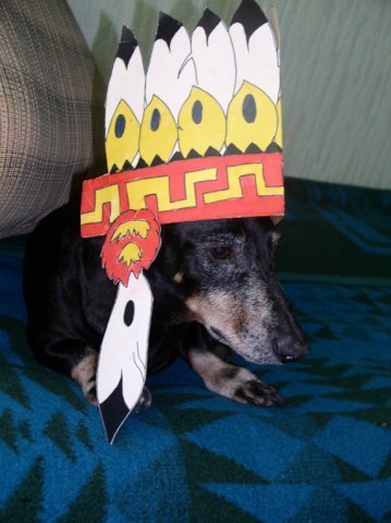 Елена Клевина