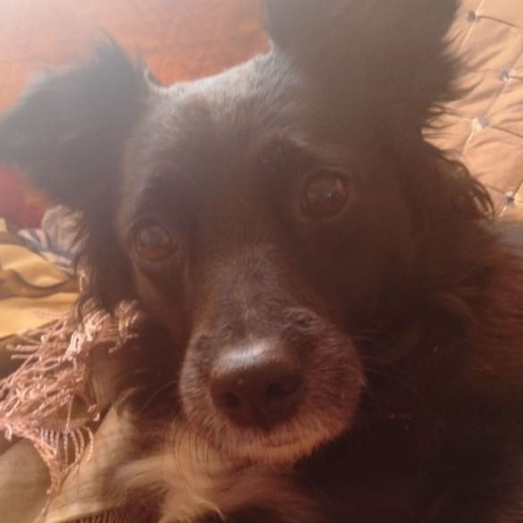 Лиза Сабзалиева