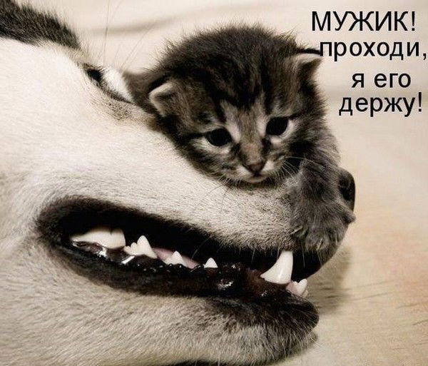 Ибрагим Сатин