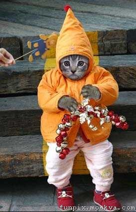 Андрей Лугинин