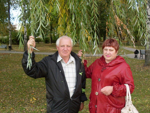 Посредниковы В&к