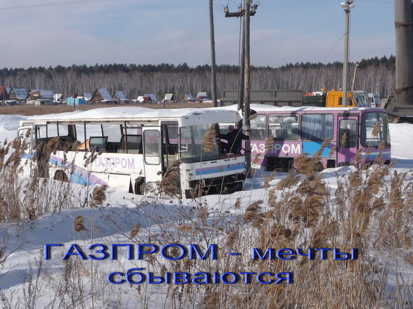 Андрей Осалихин