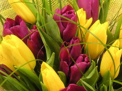 Ольга Клюжева