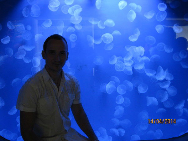 Николае Русу