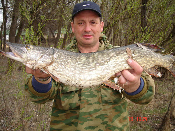 Андрей Пелевин