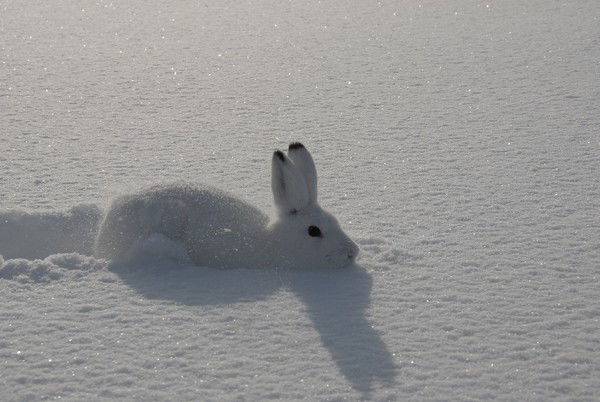 Людмила Томпакова