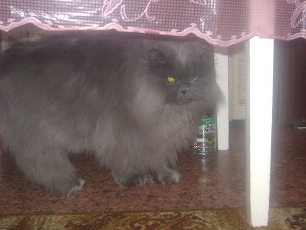 Евгений Evgenii