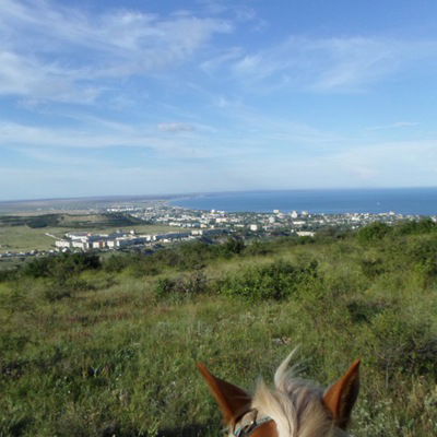 Ольга Козлова